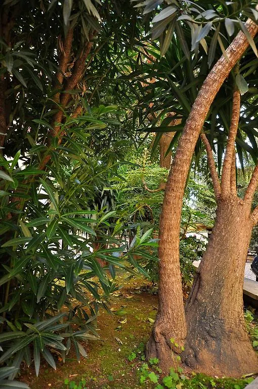 Domus Emilia Ξενοδοχείο Ρώμη 0*,  Ιταλία